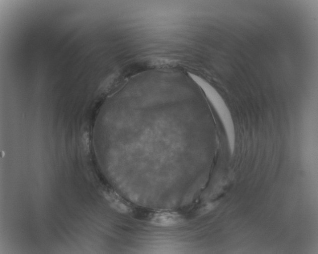 X0000066930716200604141958