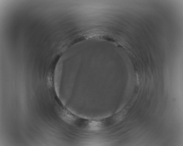 X0000066930718200604141958