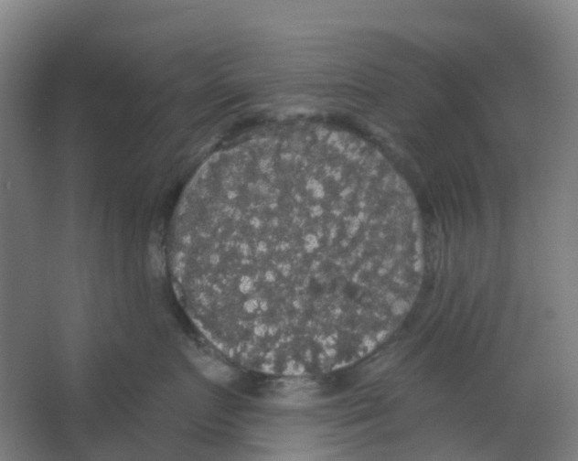 X0000066930719200604141958