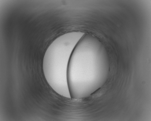 X0000066930720200604141958