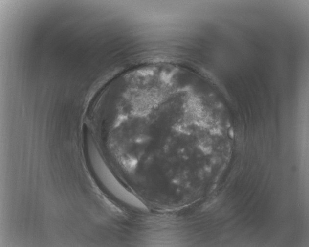 X0000066930721200604141957