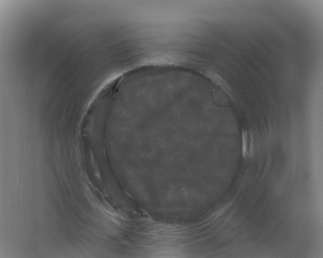 X0000066930723200604141957