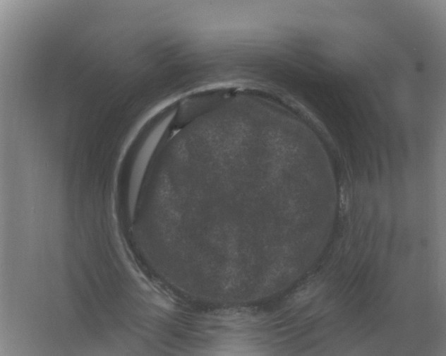 X0000066930724200604141957