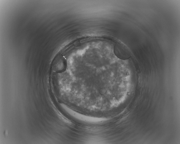 X0000066930725200604141957