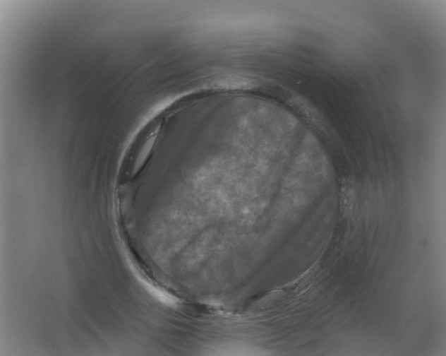 X0000066930726200604141957