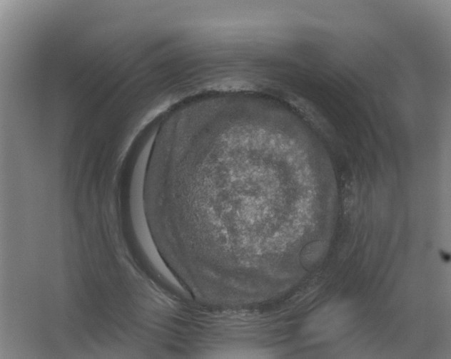 X0000066930727200604141957