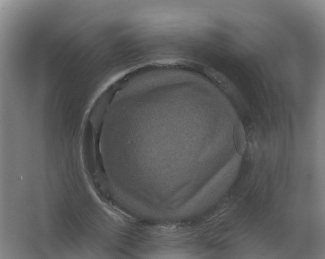 X0000066930728200604141957