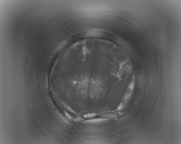 X0000066930729200604141957