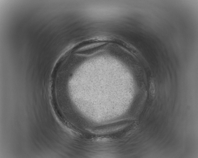 X0000066930730200604141957