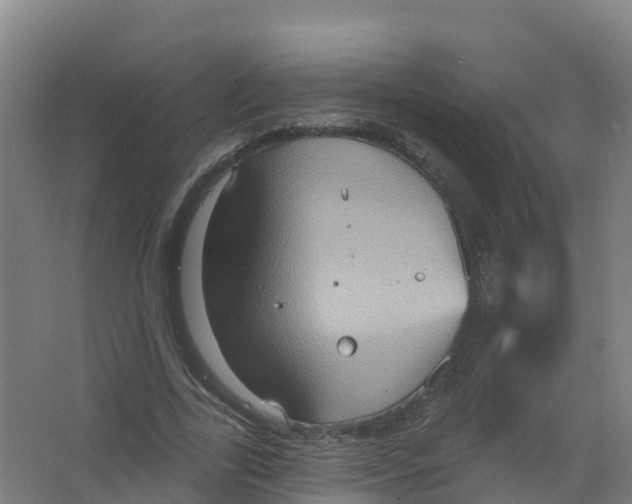 X0000066930731200604141957