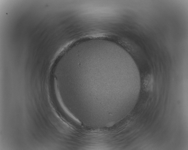 X0000066930732200604141957