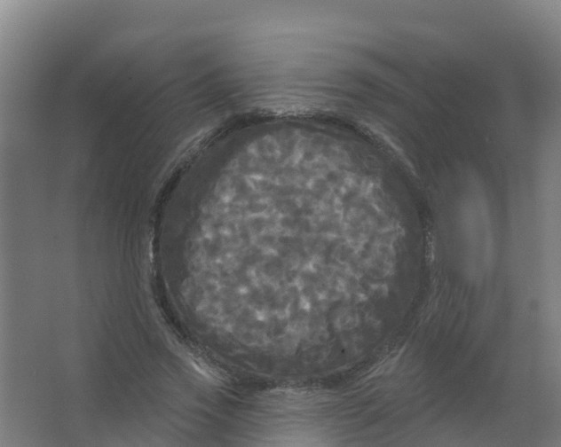 X0000066930733200604141957