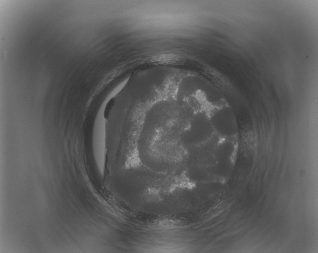 X0000066930734200604141957