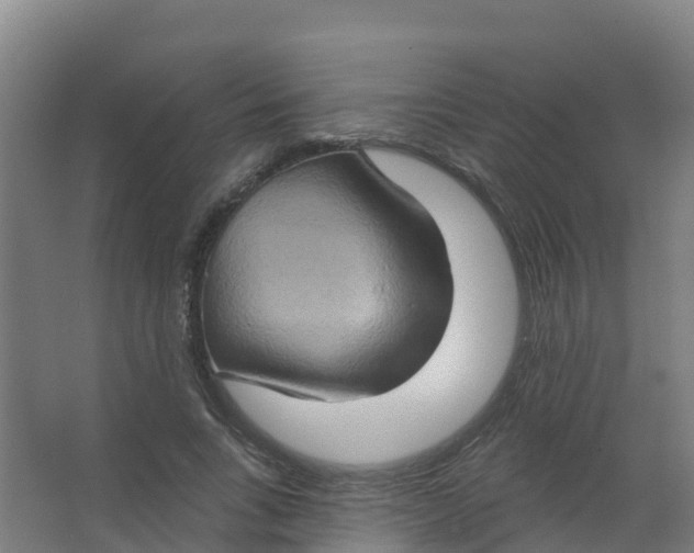 X0000066930735200604141957