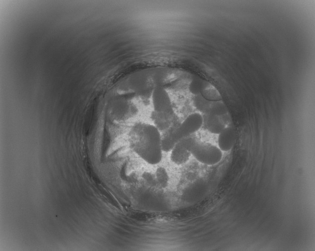 X0000066930737200604141957