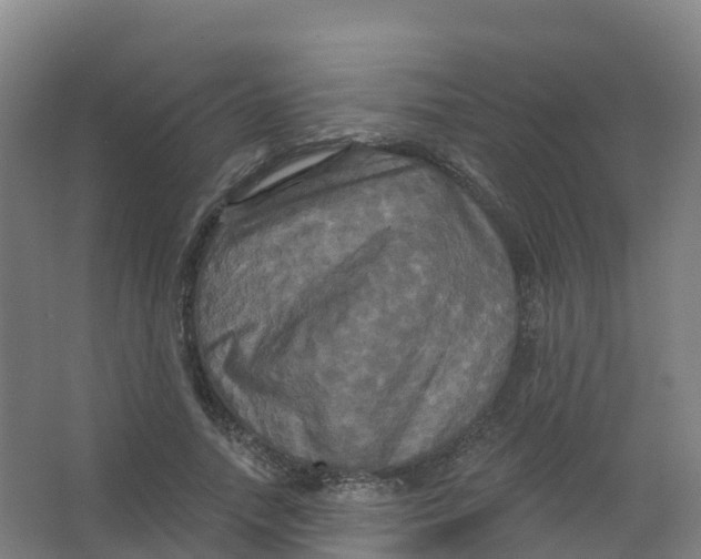 X0000066930738200604141957