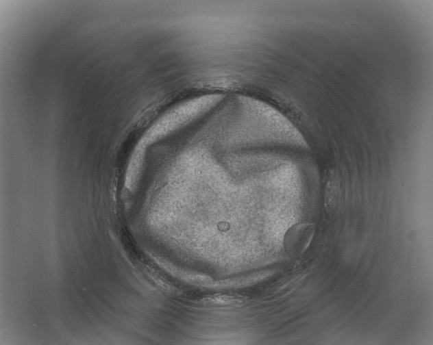 X0000066930739200604141957