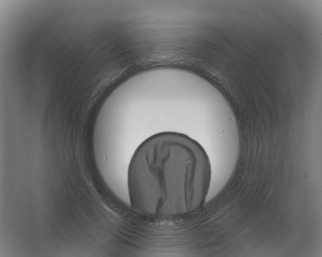 X0000066930740200604141957