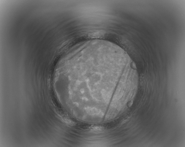 X0000066930741200604141957