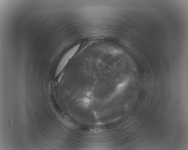 X0000066930742200604141957