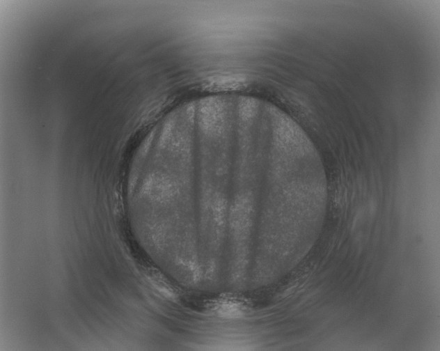 X0000066930743200604141957