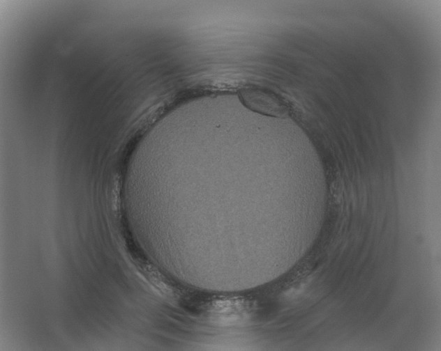 X0000066930744200604141957