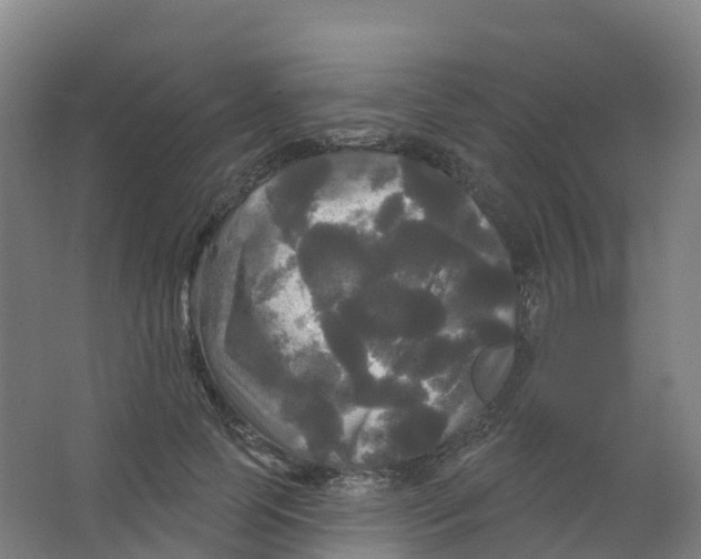 X0000066930745200604141957