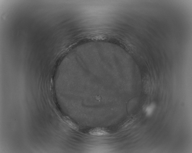 X0000066930747200604141957