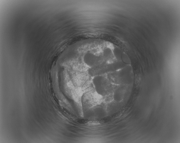 X0000066930749200604141957