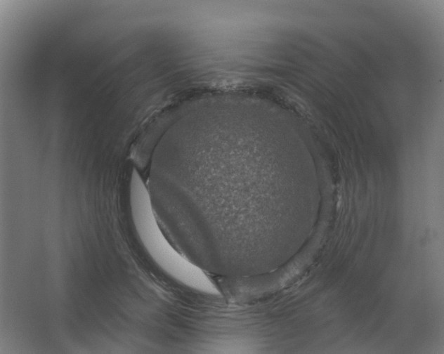 X0000066930750200604141957