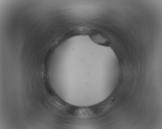 X0000066930752200604141957