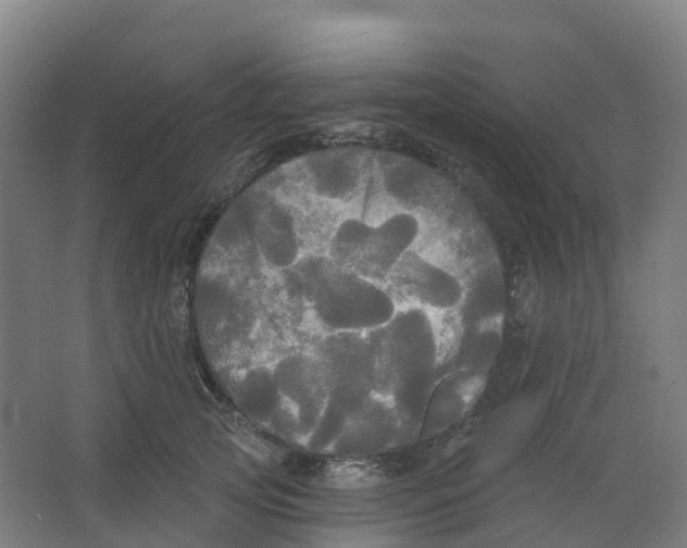 X0000066930753200604141957