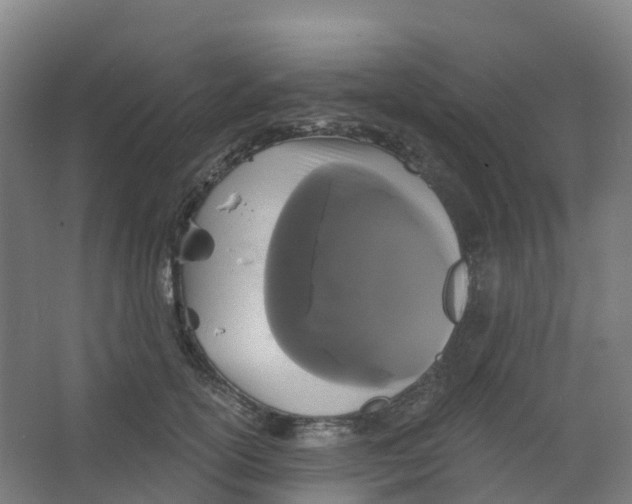 X0000066930754200604141957