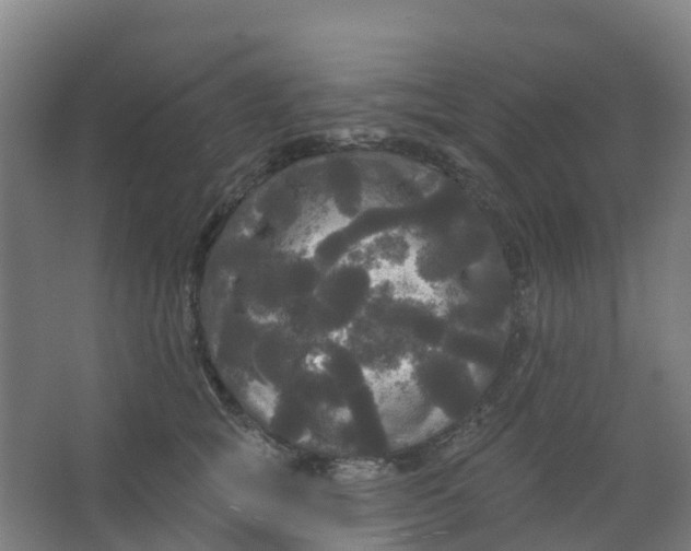 X0000066930757200604141957