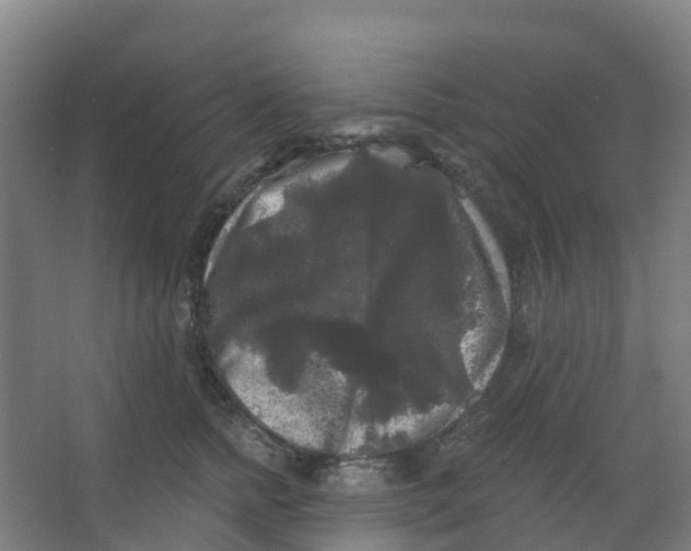 X0000066930758200604141957