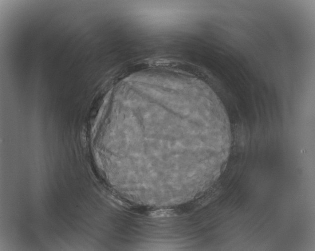 X0000066930761200604141957