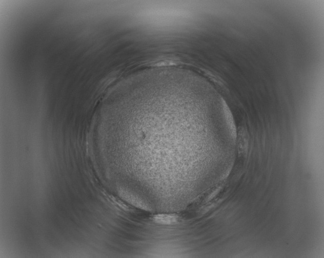 X0000066930762200604141957