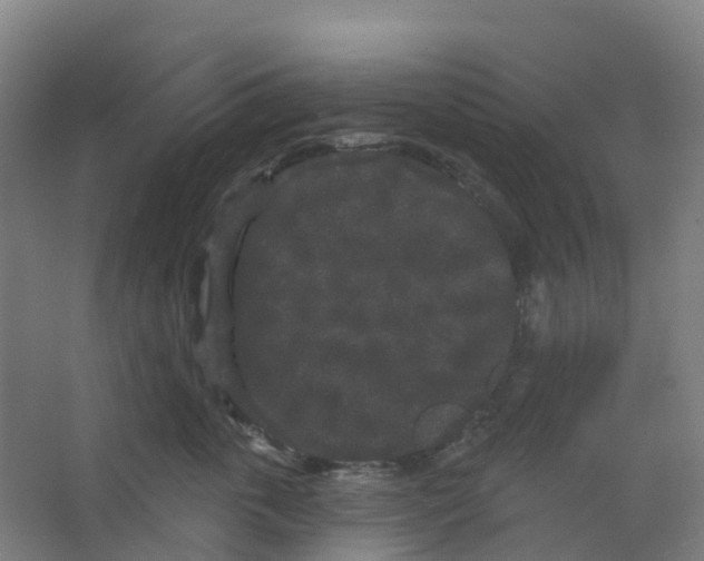 X0000066930763200604141957