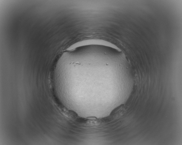 X0000066930764200604141957