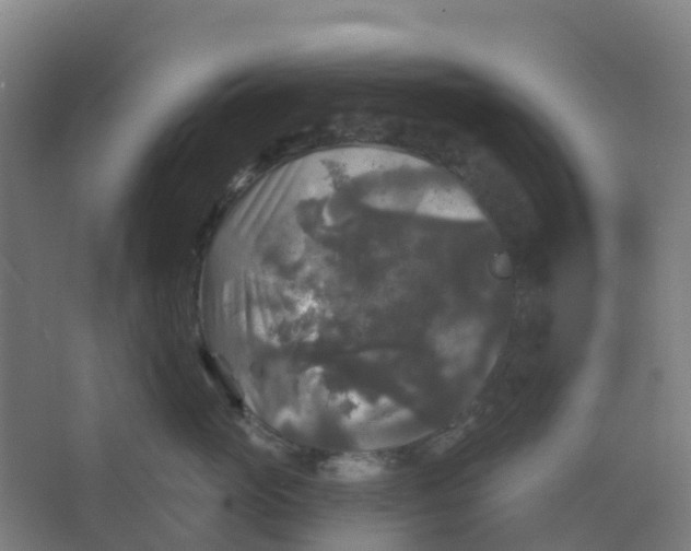 X0000066930765200604141957