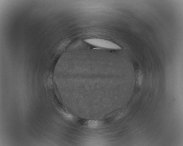 X0000066930766200604141958