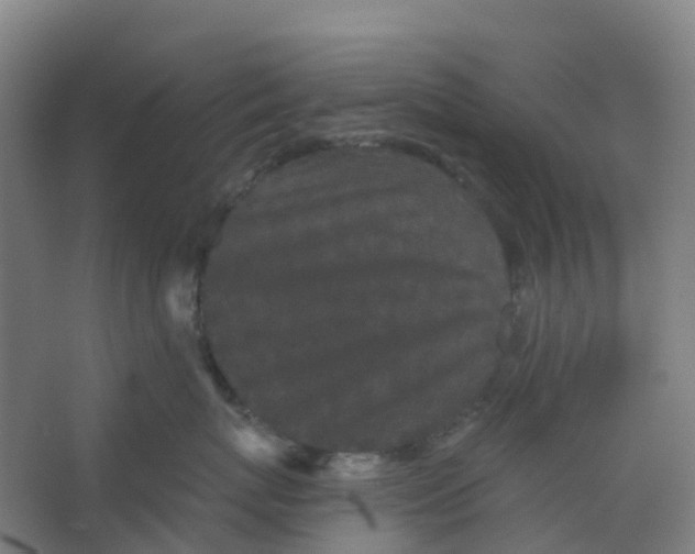 X0000066930767200604141958