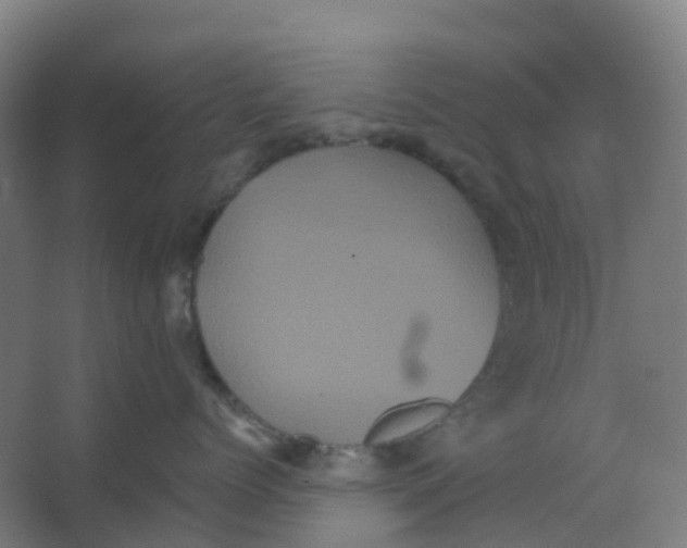 X0000066930768200604141958