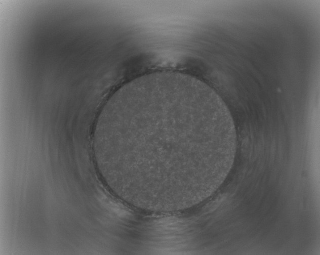 X0000066930769200604141957