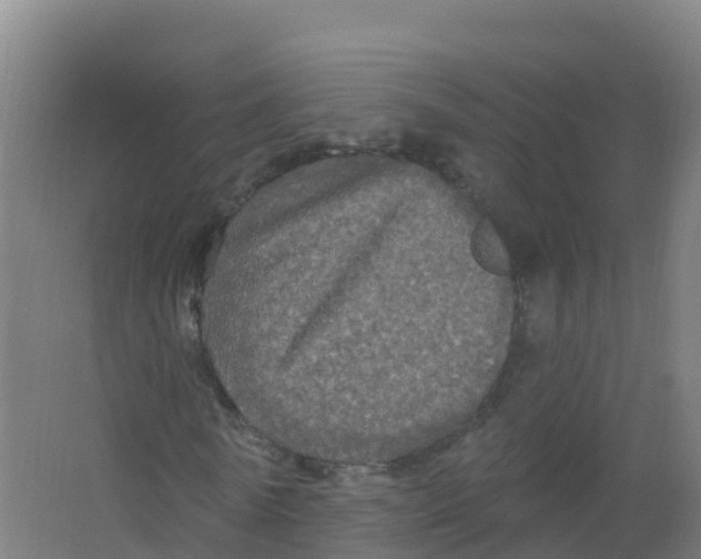 X0000066930770200604141957