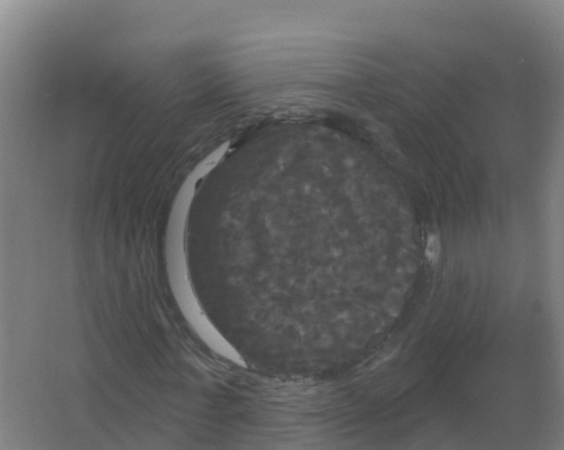 X0000066930771200604141957