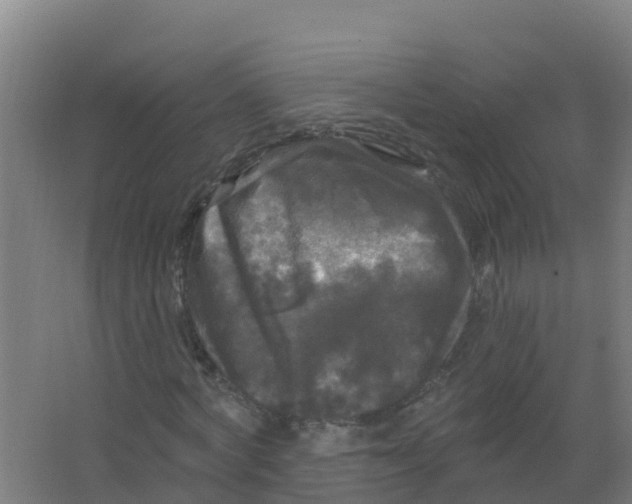 X0000066930772200604141957