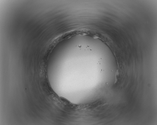 X0000066930773200604141957