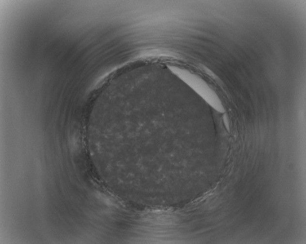 X0000066930775200604141957