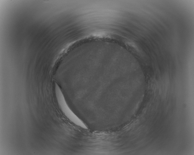 X0000066930776200604141957